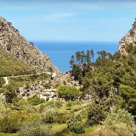 Finca Ses Fontanelles Andraitx Bagian luar foto