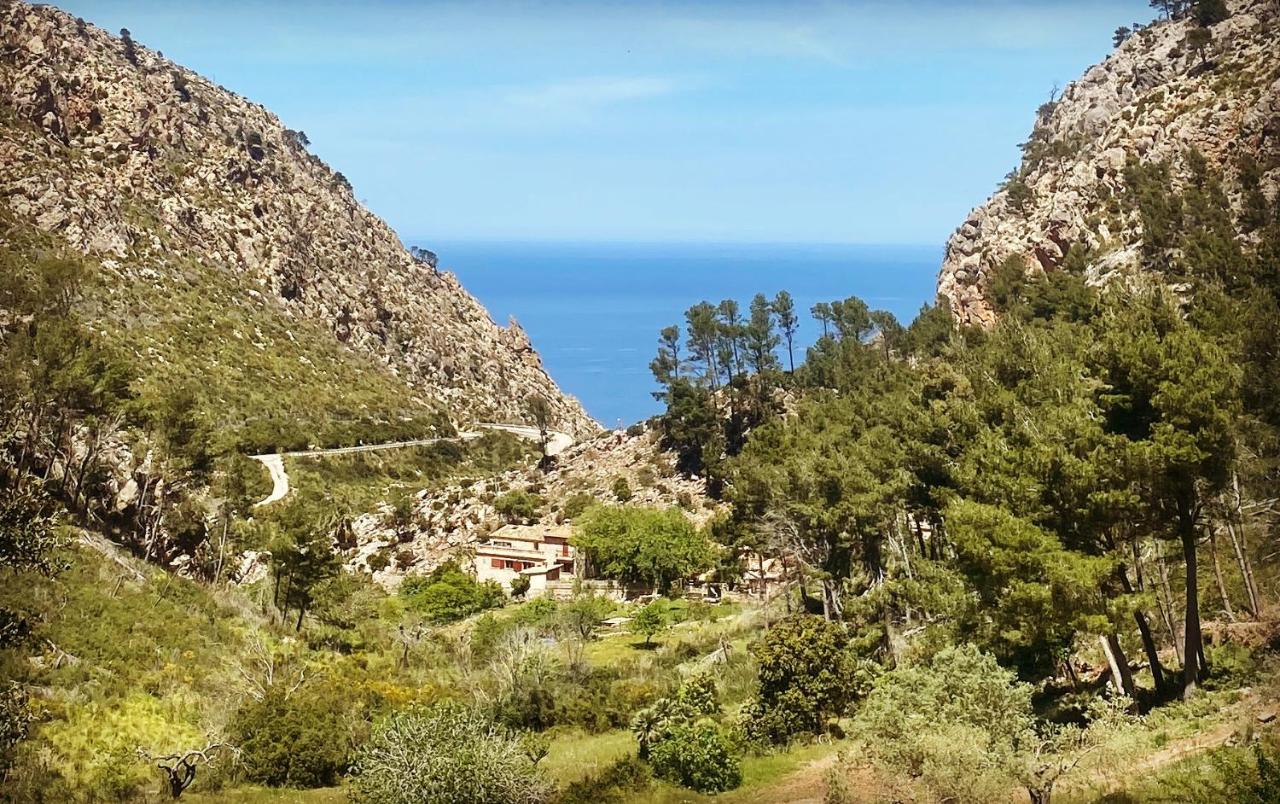 Finca Ses Fontanelles Andraitx Bagian luar foto