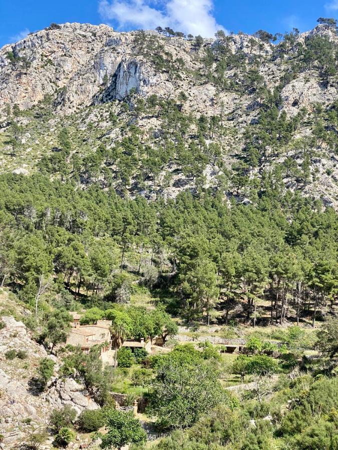 Finca Ses Fontanelles Andraitx Bagian luar foto