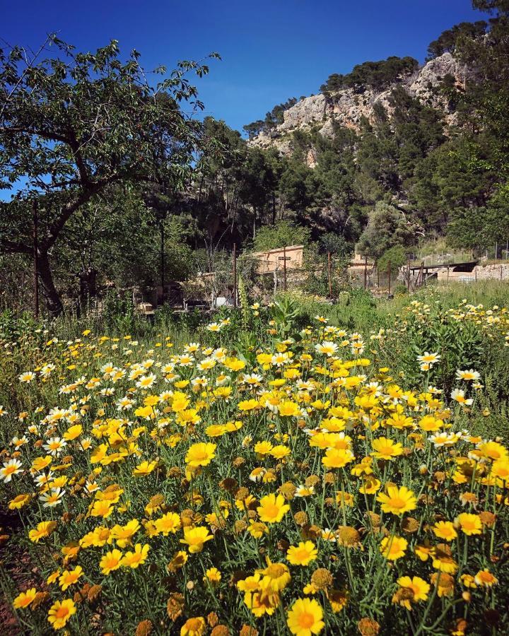 Finca Ses Fontanelles Andraitx Bagian luar foto