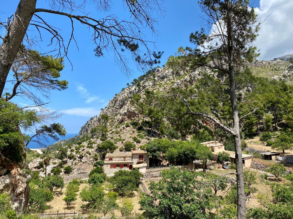 Finca Ses Fontanelles Andraitx Bagian luar foto