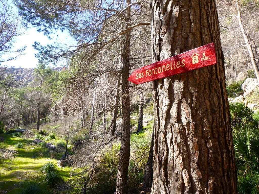 Finca Ses Fontanelles Andraitx Bagian luar foto