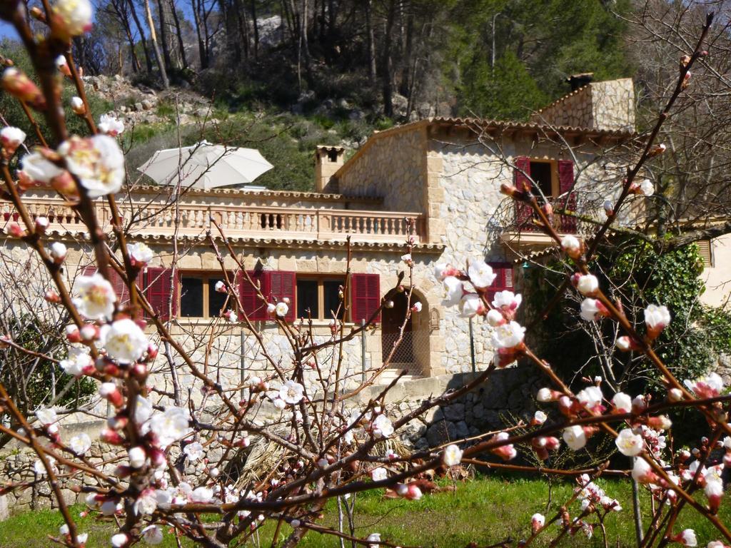 Finca Ses Fontanelles Andraitx Bagian luar foto