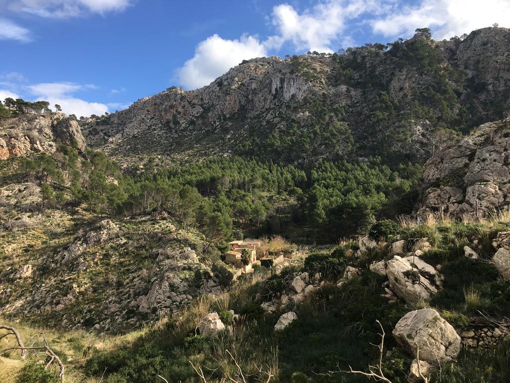 Finca Ses Fontanelles Andraitx Bagian luar foto