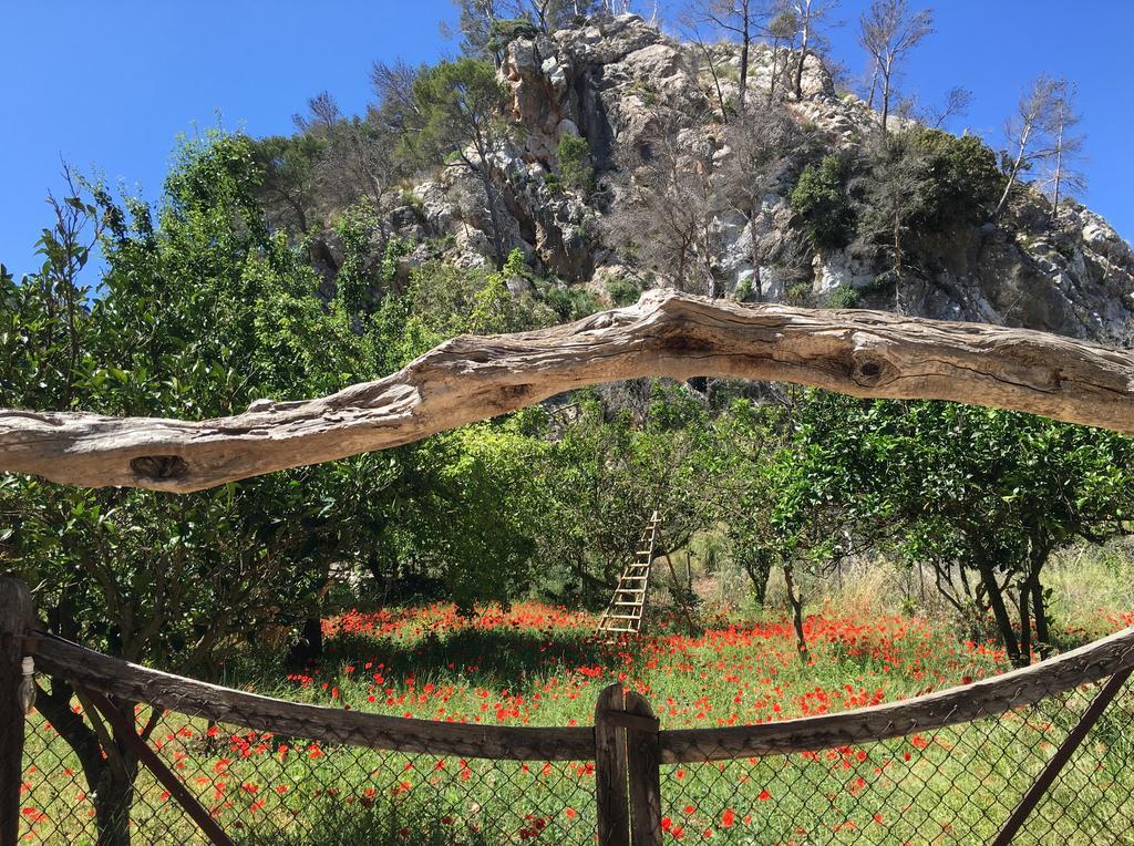 Finca Ses Fontanelles Andraitx Bagian luar foto