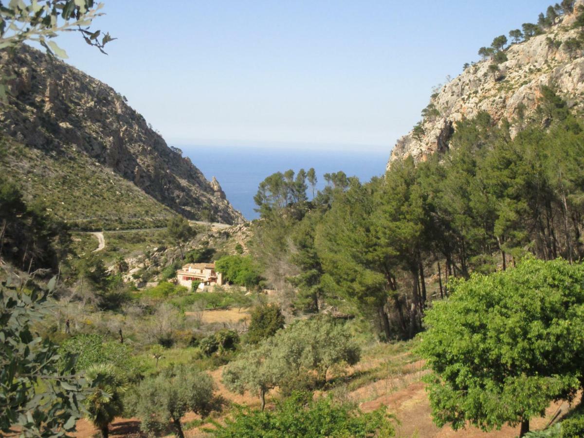 Finca Ses Fontanelles Andraitx Bagian luar foto