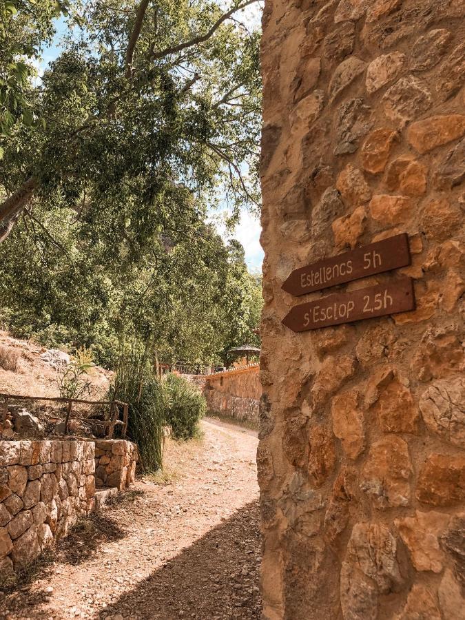 Finca Ses Fontanelles Andraitx Bagian luar foto